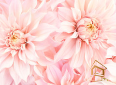 Натяжной потолок с фотопечатью Цветы 211