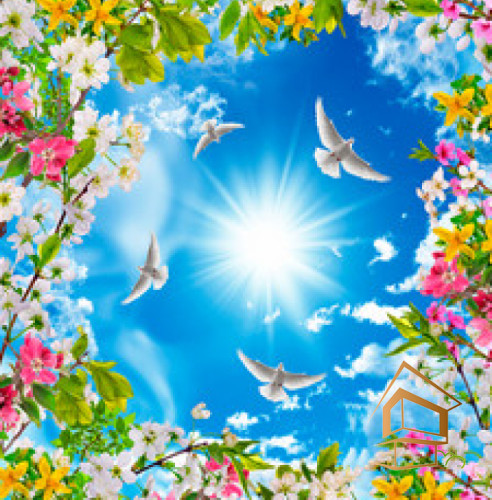 Натяжной потолок с фотопечатью Небо и объекты 042 - -