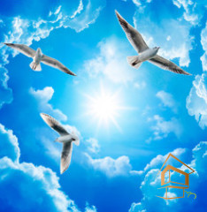 Натяжной потолок с фотопечатью Небо и объекты 142