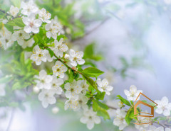 Натяжной потолок с фотопечатью Цветы 213