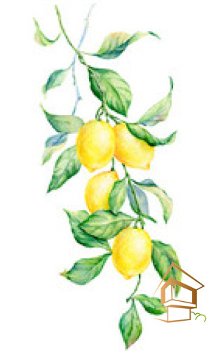 Натяжной потолок с фотопечатью Кухня 021 - -