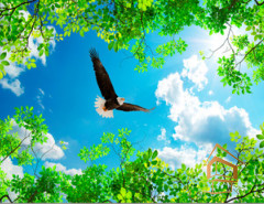 Натяжной потолок с фотопечатью Небо и объекты 045