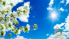 Натяжной потолок с фотопечатью Небо и объекты 145