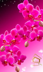 Натяжной потолок с фотопечатью Цветы 215