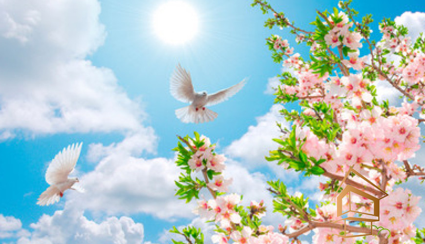 Натяжной потолок с фотопечатью Небо и объекты 046 - -