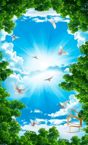 Натяжной потолок с фотопечатью Небо и объекты 146 - -