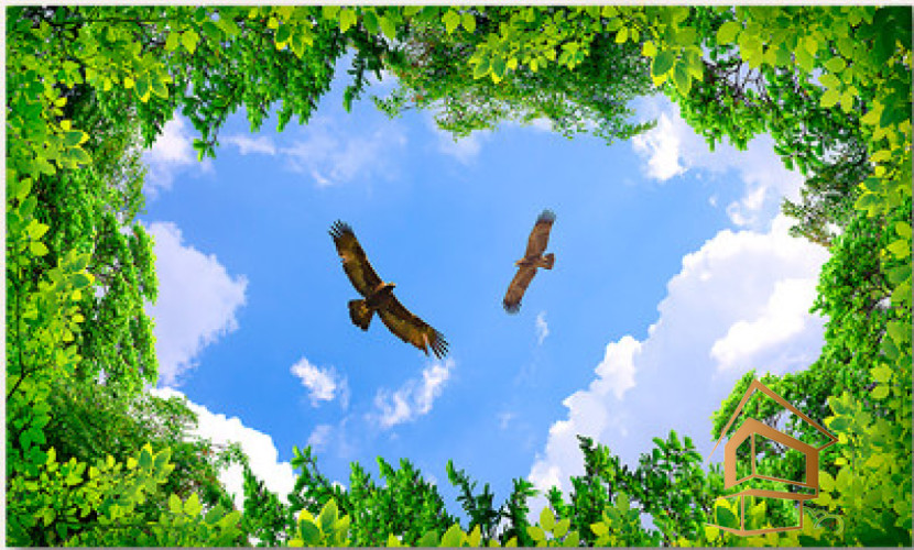 Натяжной потолок с фотопечатью Небо и объекты 029 -  - 