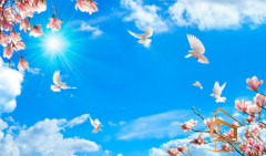 Натяжной потолок с фотопечатью Небо и объекты 047