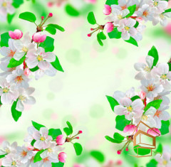 Натяжной потолок с фотопечатью Цветы 217