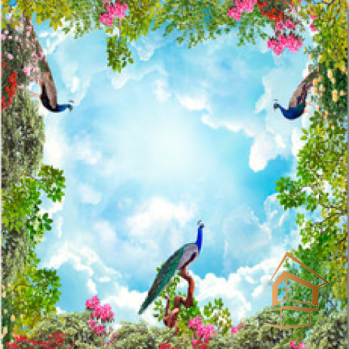 Натяжной потолок с фотопечатью Небо и объекты 030 - -