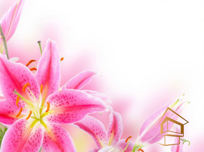 Натяжной потолок с фотопечатью Цветы 118 - -