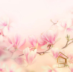 Натяжной потолок с фотопечатью Цветы 218