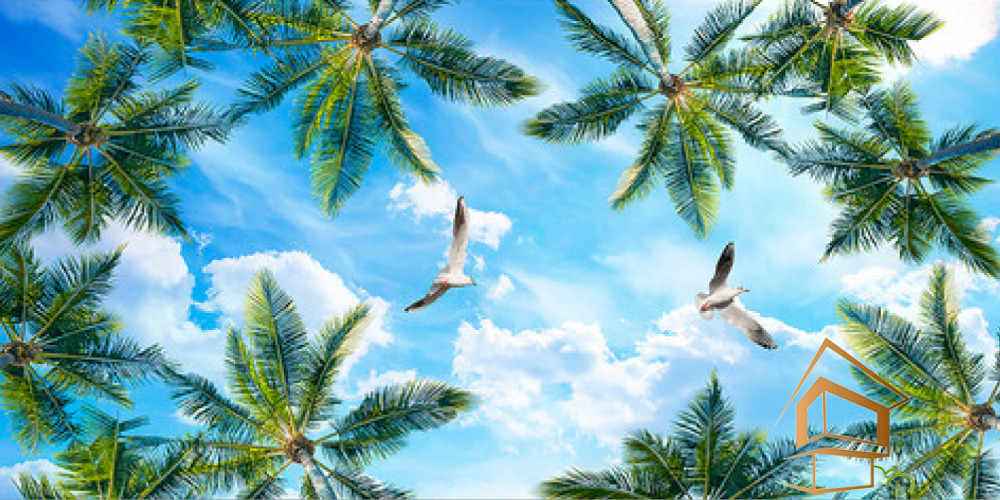 Натяжной потолок с фотопечатью Небо и объекты 049 - -