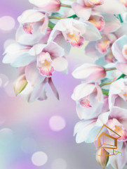 Натяжной потолок с фотопечатью Цветы 219