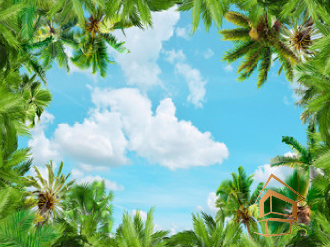 Натяжной потолок с фотопечатью Небо и объекты 032 - -