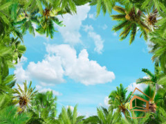 Натяжной потолок с фотопечатью Небо и объекты 032