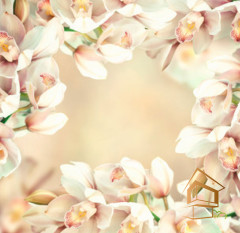 Натяжной потолок с фотопечатью Цветы 220