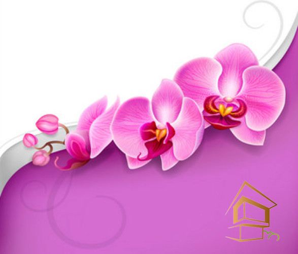 Натяжной потолок с фотопечатью Цветы 330 -  -