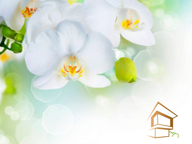 Натяжной потолок с фотопечатью Цветы 003 -  - 