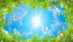 Натяжной потолок с фотопечатью Небо и объекты 034