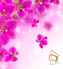 Натяжной потолок с фотопечатью Цветы 004