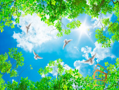 Натяжной потолок с фотопечатью Небо и объекты 035