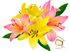 Натяжной потолок с фотопечатью Цветы 123