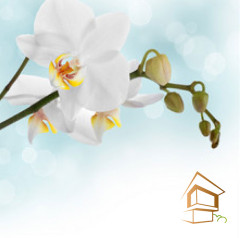 Натяжной потолок с фотопечатью Цветы 007