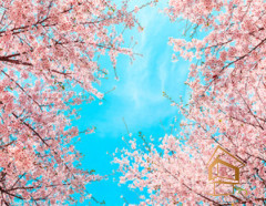 Натяжной потолок с фотопечатью Небо и объекты 055