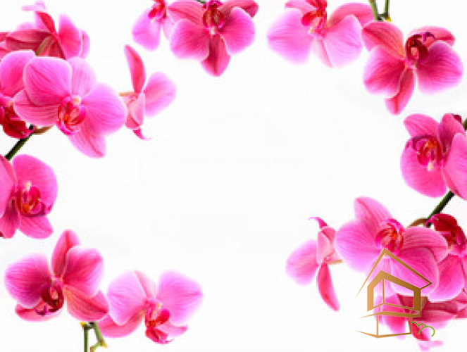 Натяжной потолок с фотопечатью Цветы 008 -  - 