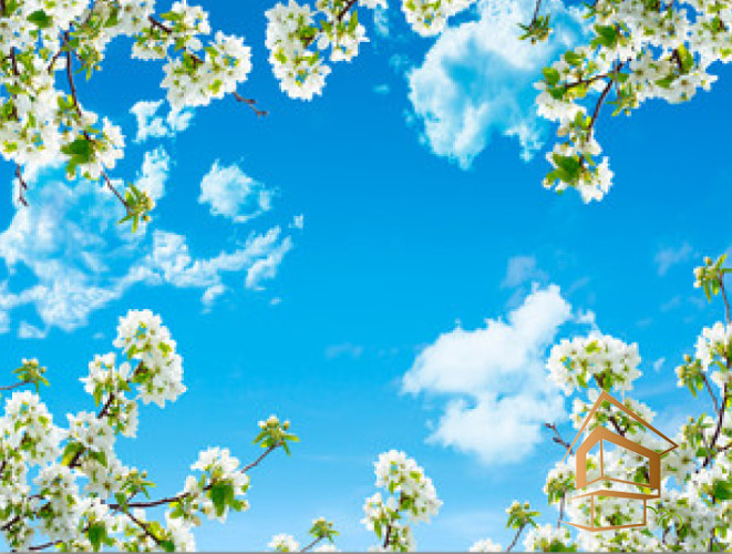 Натяжной потолок с фотопечатью Небо и объекты 056 - -