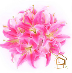 Натяжной потолок с фотопечатью Цветы 126