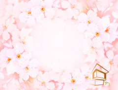 Натяжной потолок с фотопечатью Цветы 226