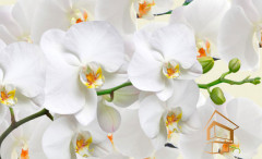 Натяжной потолок с фотопечатью Цветы 009