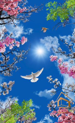 Натяжной потолок с фотопечатью Небо и объекты 057 - -