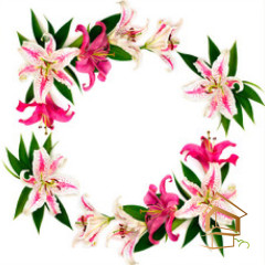 Натяжной потолок с фотопечатью Цветы 127