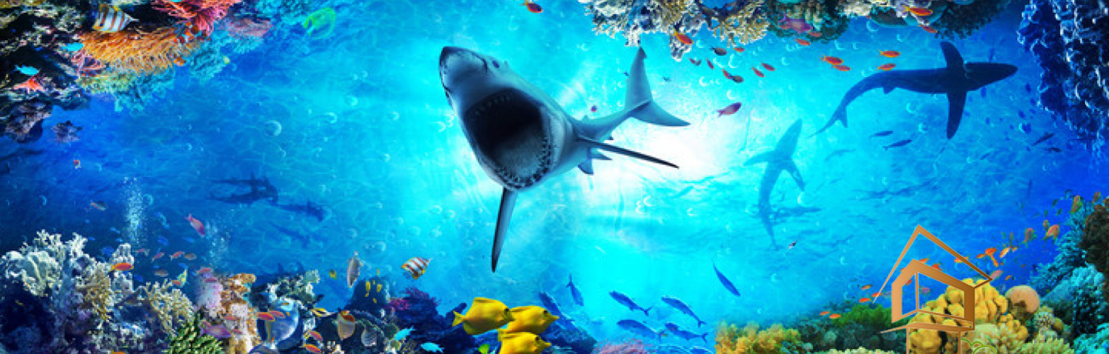 Натяжной потолок с фотопечатью Подводный мир 001 -  - 