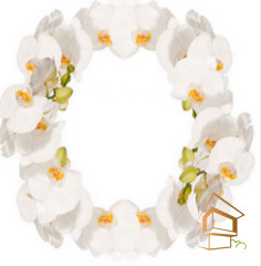 Натяжной потолок с фотопечатью Цветы 010