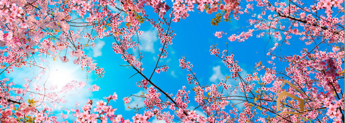 Натяжной потолок с фотопечатью Небо и объекты 058 - -