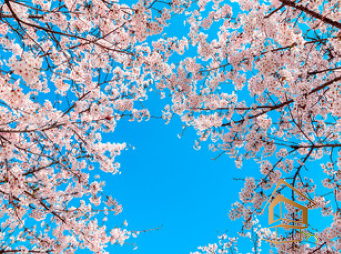 Натяжной потолок с фотопечатью Небо и объекты 059 - -