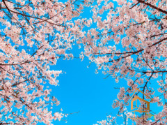 Натяжной потолок с фотопечатью Небо и объекты 059