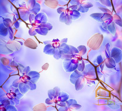 Натяжной потолок с фотопечатью Цветы 229