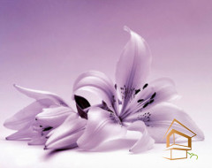 Натяжной потолок с фотопечатью Цветы 130