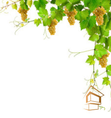 Натяжной потолок с фотопечатью Кухня 003