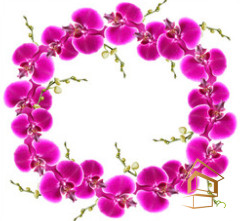 Натяжной потолок с фотопечатью Цветы 013