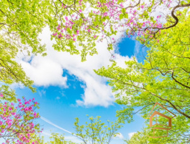 Натяжной потолок с фотопечатью Небо и объекты 061 - -