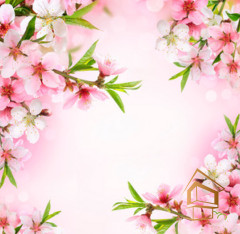 Натяжной потолок с фотопечатью Цветы 231