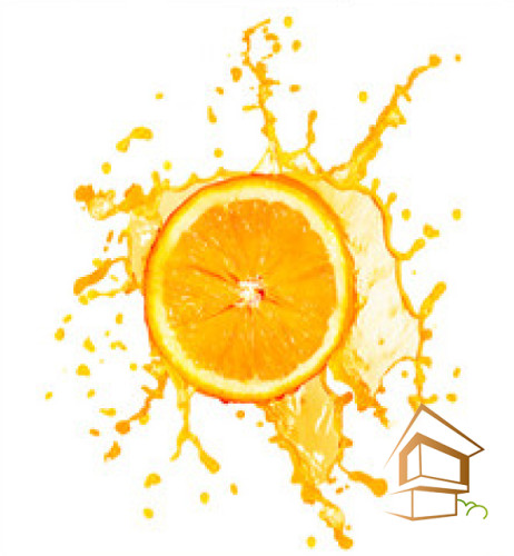 Натяжной потолок с фотопечатью Кухня 004 -  - 