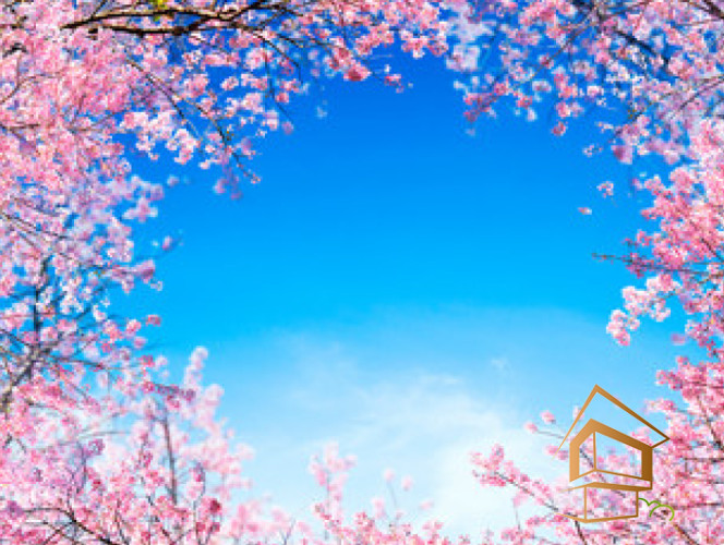 Натяжной потолок с фотопечатью Небо и объекты 062 - -