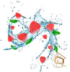 | Натяжной потолок с фотопечатью кухня Натяжной потолок с фотопечатью Кухня 016